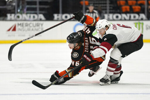 APTOPIX Coyotes Ducks Hockey